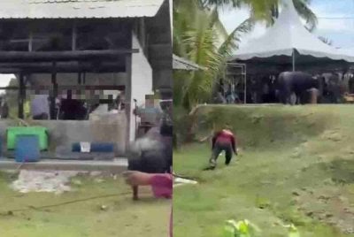 Tangkap layar video tular lelaki cedera ditanduk seekor kerbau ketika proses ibadah korban di Sungai Tiram 19, Ulu Tiram, pada Rabu.