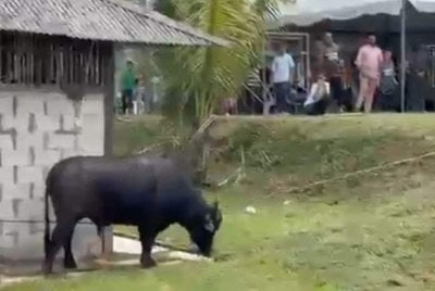 Tangkap layar tular kejadian di Ulu Tiram.