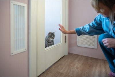 Petsavers memperkenalkan Petsavers Insurance pelan perlindungan pertama untuk pemilik haiwan peliharaan mengembara.