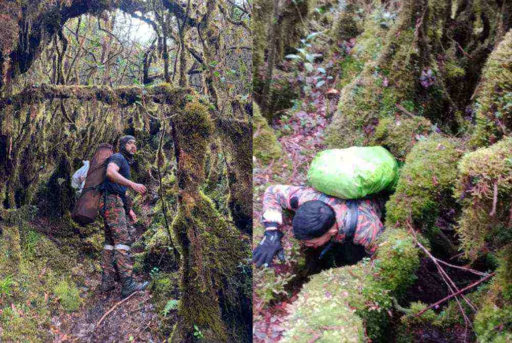 Antara anggota pasukan SAR yang terlibat mencari Jaslinda yang dilaporkan hilang di Gunung Batu Putih di sini sejak 23 Mei lalu