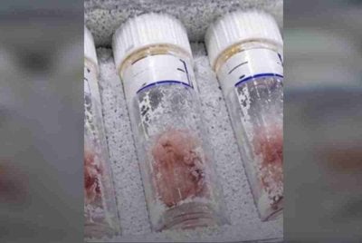 Kes ini kini menjadi tumpuan kerana membabitkan isu sensitif. Foto: Royanewsenglish.