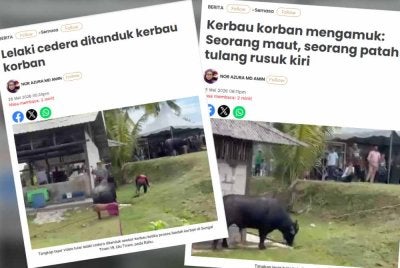 Laporan Sinar Harian.