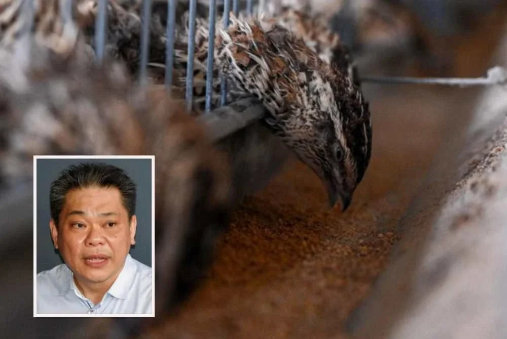 Jeffrey (gambar kecil) berkata, pemain industri secara umumnya masih mampu menyerap tekanan ekonomi, bergantung kepada keadaan masing-masing. Foto hiasan - Bernama