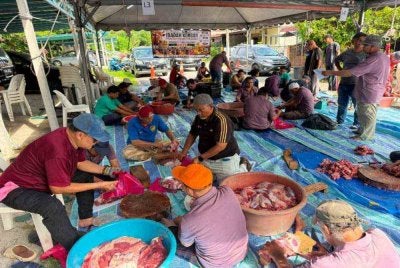 Penduduk di Taman Desa Pinggiran Putra meriah bergotong royong melapah dan memotong daging lembu korban