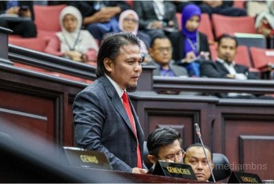 ADUN Lenggeng, Datuk Mohd Asna 