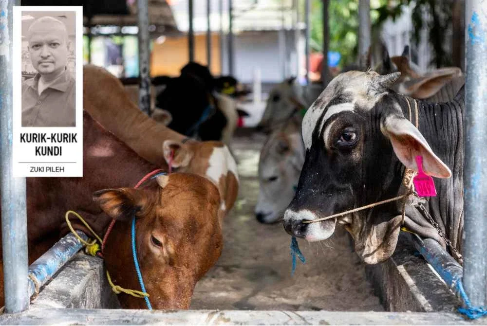 Aidiladha menuntut lebih daripada sekadar pemotongan daging dan pengagihan kupon. Ia menuntut 'penyembelihan' ego manusia. Foto fail Bernama