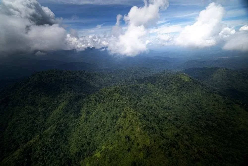 Pemandangan dari udara Gunung Batu Putih yang merupakan lokasi pendaki wanita, Jaslinda Saludin, 49 yang dilaporkan hilang baru-baru ini. Foto Bernama