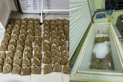 Taktik seorang tauke ketum menyewa sebuah rumah semata-mata untuk dijadikan lokasi memproses dan merebus minuman itu terbongkar apabila diserbu PGA di Gual Periuk, Pasir Mas pada Isnin. - Foto:PGA