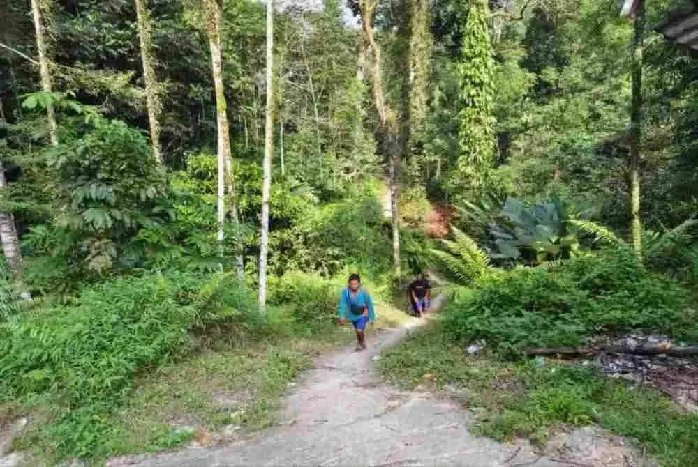 Laluan yang digunakan akan melalui kawasan perkampungan Orang Asli seperti Kampung Lubuk Petai dan Kuala Telum yang menjadi antara akses ke puncak Gunung Batu Putih.