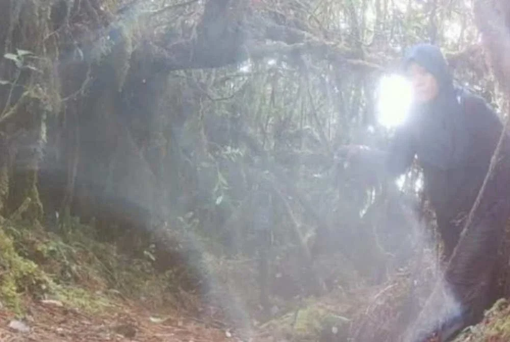Kelibat Jaslinda pada 24 Mei lalu yang dikesan melalui kamera pengawasan di Gunung Batu Putih.