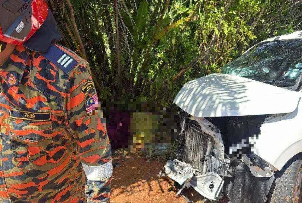 Seorang lelaki maut selepas dipercayai tercampak keluar dari keretanya sebelum ditemukan tersangkut di dahan pokok kelapa sawit di Kampung Panggong Jaya, Gua Musang pada Rabu. Foto:JBPM