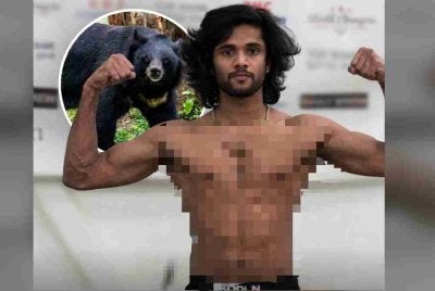 Impian Hrishikesh bertarung di pentas UFC tidak kesampaian apabila dia maut diserang beruang hitam ketika bekerja di kawasan pedalaman Kanada. Foto: Agensi