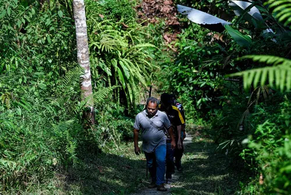 Tok Batin Kampung Ampang Woh, Bah Lilit, 52, bersama sebahagian daripada 22 sukarelawan Orang Asli membuat pemeriksaan laluan permulaan pendakian yang akan digunakan bagi misi mencari pendaki, Jaslinda Saludin, 49, yang dilaporkan hilang di Gunung Batu Putih sejak Ahad lalu, ketika tinjauan di Kampung Ampang Woh. Foto fail Bernama