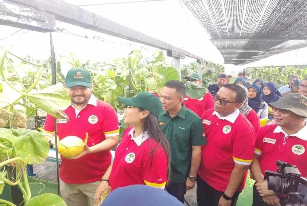 Tengku Amir (kiri) dan pasangannya meninjau projek MeloSel semasa lawatan baginda di SSAP Sungai Air Tawar di sini pada Khamis.