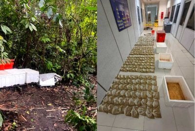 Anggota menemui satu tong ais dan tiga kotak polisterin yang mengandungi keseluruhan 312 bungkusan air ketum. 