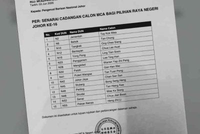 Senarai nama calon MCA pada PRN Johor yang tular.