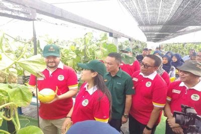 Tengku Amir (kiri) dan pasangannya meninjau projek MeloSel semasa lawatan baginda di SSAP Sungai Air Tawar di sini pada Khamis.
