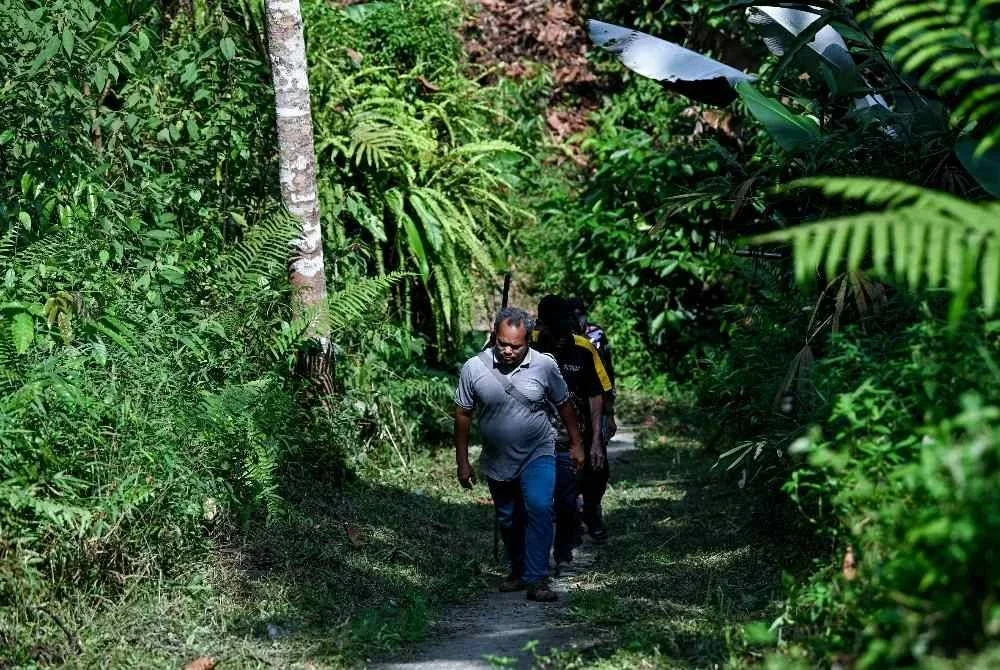 Tok Batin Kampung Ampang Woh, Bah Lilit, 52, bersama sebahagian daripada 22 sukarelawan Orang Asli membuat pemeriksaan laluan permulaan pendakian yang akan digunakan pada awal pagi esok bagi misi mencari pendaki, Jaslinda Saludin, 49, yang dilaporkan hilang di Gunung Batu Putih sejak Ahad lalu, ketika tinjauan di Kampung Ampang Woh. Foto Bernama