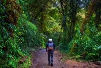 JAGALAH adab-adab ketika bertandang ke hutan dan amalkan panduan yang diajarkan Rasulullah SAW jika tersesat. Foto Canva
