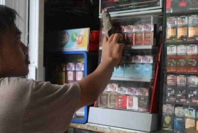 MAMBA mendakwa aktiviti penjualan rokok seludup semakin berleluasa, khususnya melibatkan warga asing. Gambar hiasan 