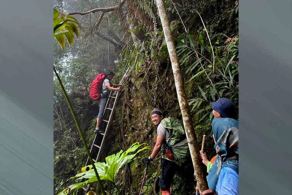 Pemandangan pendakian ke puncak Gunung Batu Putih yang dirakam pada Februari 2024 semasa aktiviti Konservasi Gunung Batu Putih. Foto Bernama.