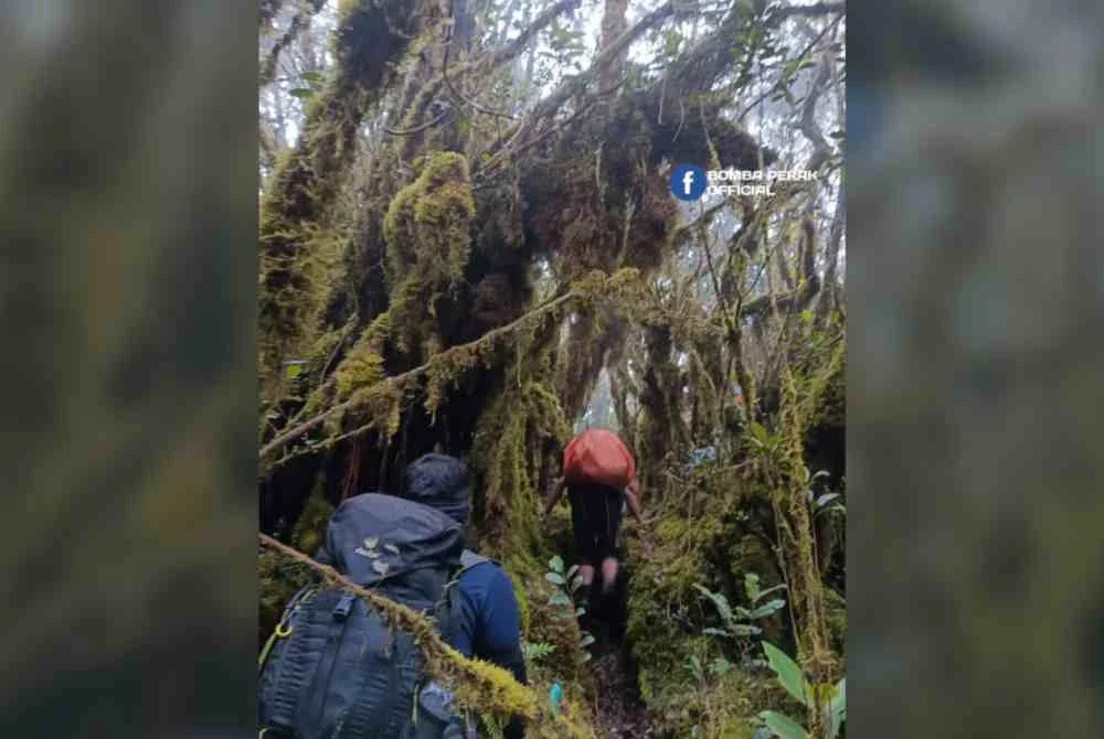 Antara pasukan penyelamat yang berusaha mengesan Jaslinda.