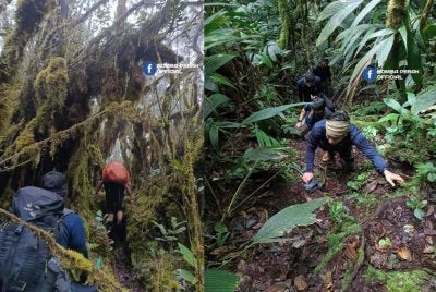 Operasi mencari dan menyelamat (SAR) pendaki wanita hilang, Jaslinda Saludin, 49, yang masih diteruskan dalam skala kecil. Foto JBPM Perak