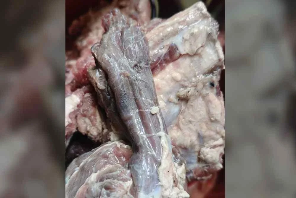 Gambar tular daging didakwa telah busuk yang dijual dalam satu program jualan murah.