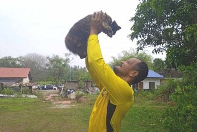 Mohd Faizal mengakui kucing dipanggil Baby penghibur buat dirinya.