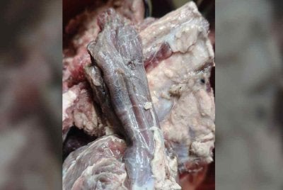 Gambar tular daging didakwa telah busuk yang dijual dalam satu program jualan murah.