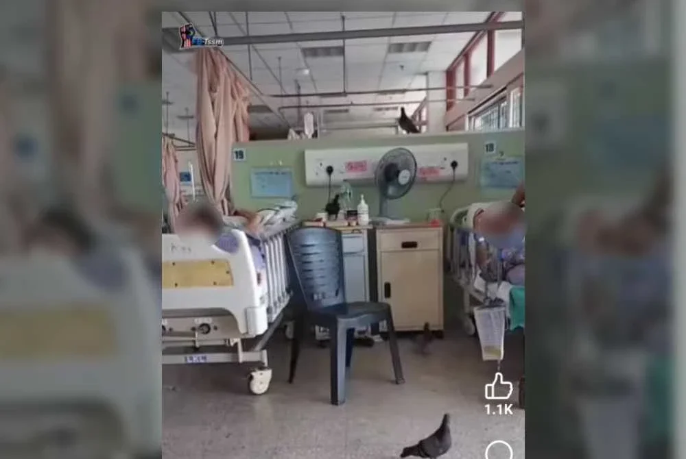 Tangkap layar yang tular di media sosial menunjukkan beberapa burung memasuki wad pesakit di HTAR, Klang.
