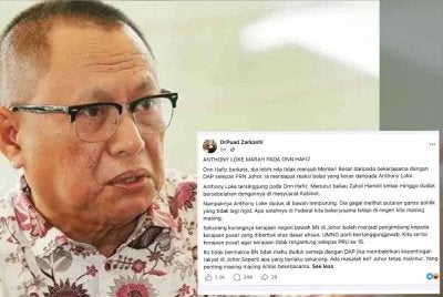 Mohd Puad berkata, tiada salahnya BN dan DAP bekerjasama dalam Kerajaan Persekutuan, tetapi memutuskan bergerak berasingan di peringkat negeri.