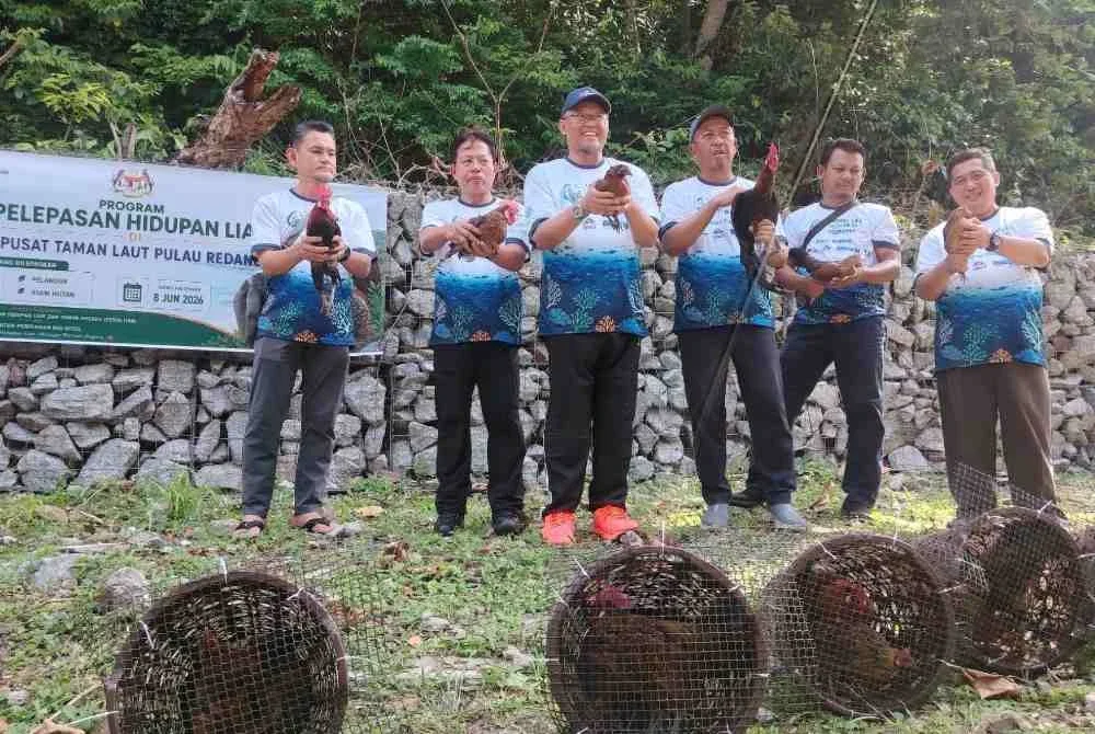 Abdul Kadir (tiga dari kanan) dan Adnan ( empat dari kanan) melepaskan ayam hutan sebagai langkah konservasi di Taman Laut Pulau Redang pada Isnin.