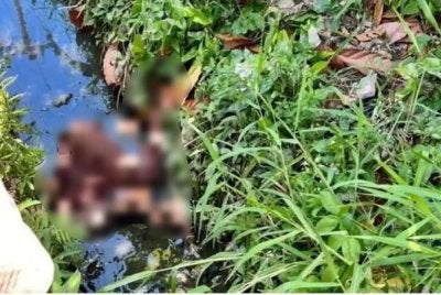 Murtafia Rafika Dewi ditemui tidak bernyawa dalam keadaan menyayat hati. Foto: Agensi