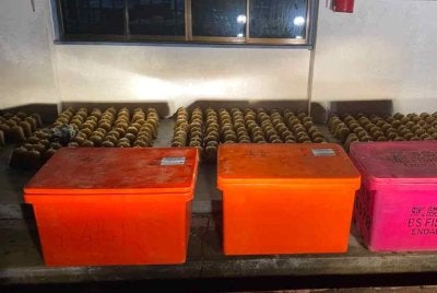 polis rampas 300 bungkus air ketum bernilai RM3,000 dalam serbuan di Kampung Tekek, Pulau Tioman, awal pagi Isnin. Foto polis