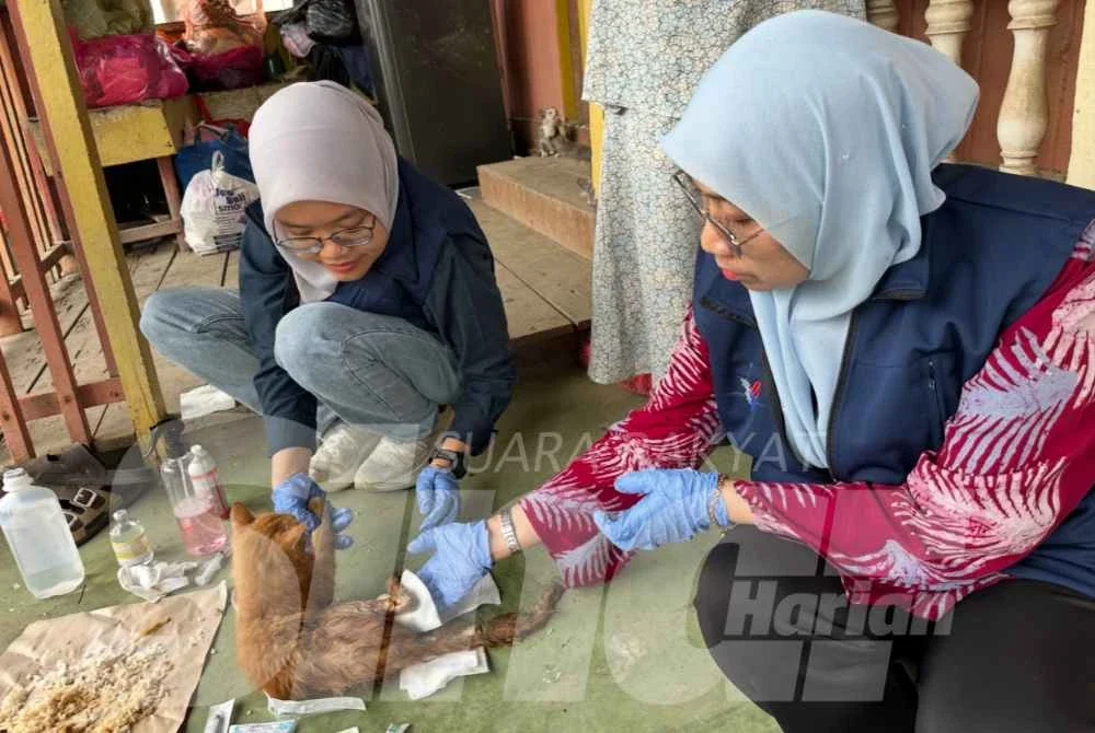 Dr Yashasmida (kanan) membantu memberi rawatan kepada seekor kucing yang cedera dan melecur. - Foto: SINAR HARIAN/ADILA SHARINNI WAHID

