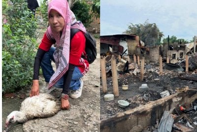 Nik Mahani melihat itiknya yang cedera dalam kebakaran rumah yang berlaku di Gok Kapur, Kota Bharu pada Isnin lalu. Foto Adila Sharinni Wahid