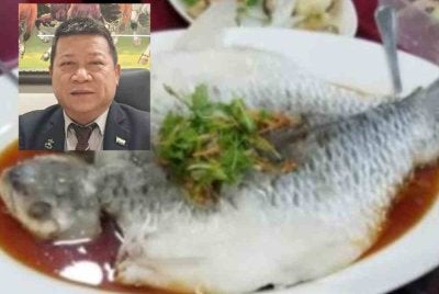 Sebuah restoran di Genting Highlands yang menyediakan hidangan ikan patin kukus berharga lebih RM900 hingga menimbulkan rasa tidak puas hati pelanggan dari Singapura Mac lalu didapati mematuhi kadar keuntungan dibenarkan bagi hidangan tersebut.Gambar hiasan. Gambar kecil: Sim Chon Siang