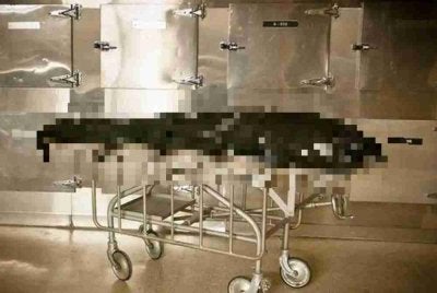 Pemeriksaan awal mendapati tubuh mangsa mengalami sejumlah kesan cakaran dan luka akibat tikaman. Foto Agensi