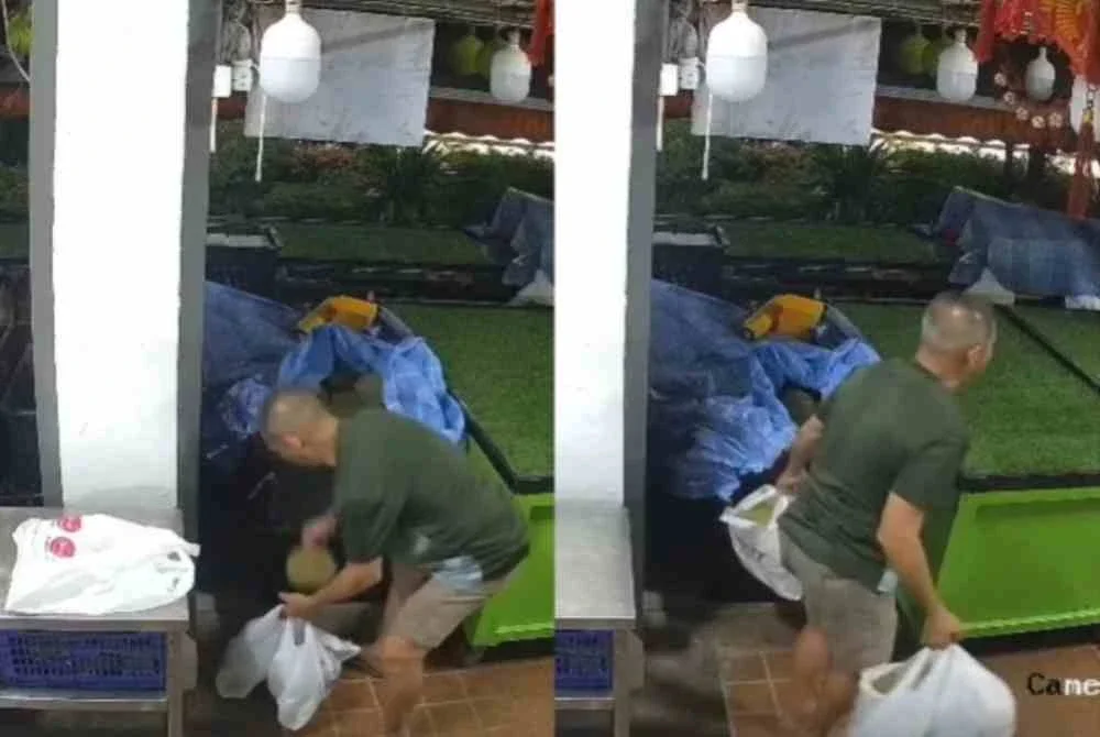 Lelaki curi durian Black Thorn bernilai RM761 di Singapura didakwa Lelaki curi durian Black Thorn bernilai RM761 di Singapura didakwa