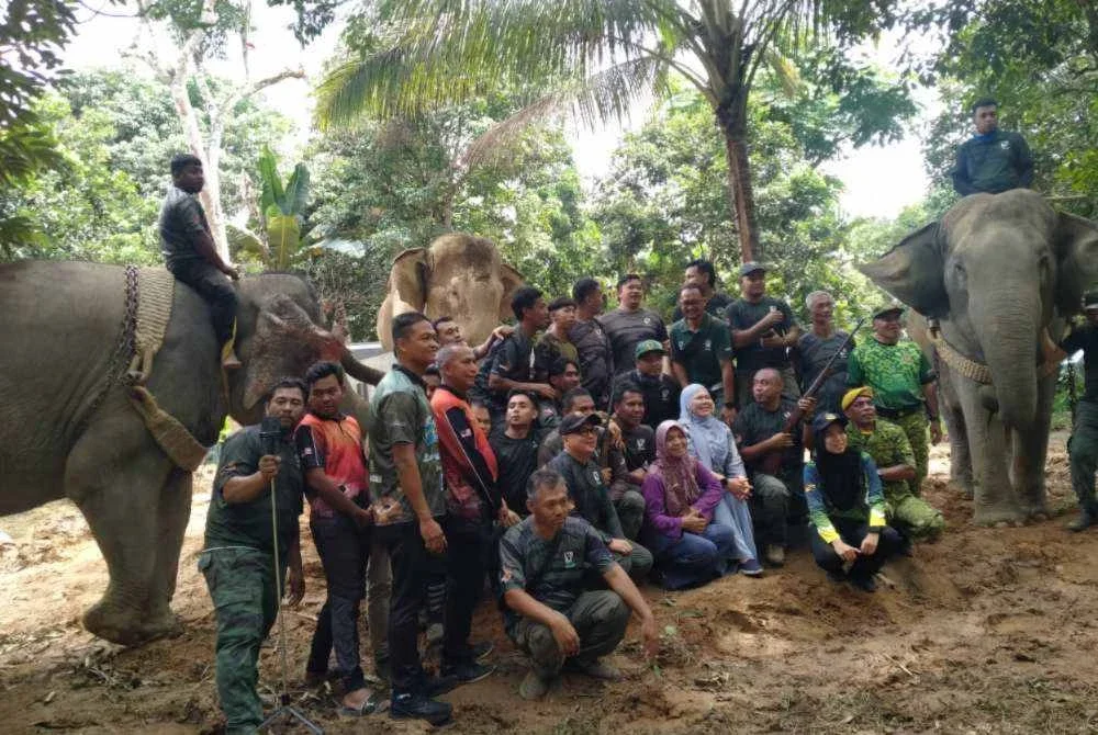 Salbiah (duduk dari tengah) bersama kakitangan Jabatan Perhilitan yang terlibat dalam operasi berkenaan di Kampung Bongor pada Rabu.