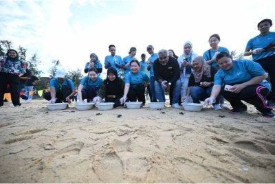 Sukarelawan G3 bersama Jabatan Perikanan Terengganu mempertingkat usaha pemuliharaan penyu di Pantai Kijal.