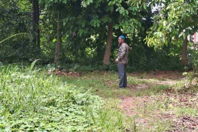 Seorang penduduk melihat lokasi mangsa ditemukan. Foto Ihsan pembaca