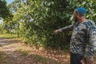 Mangsa ditemui oleh orang awam di kawasan semak berhampiran tali air kira-kira jam 11 pagi sebelum dimaklumkan kepada bapanya yang sedang mencari gadis terbabit selepas remaja itu tidak pulang ke rumah sejak keluar beriadah pada jam 7 pagi.