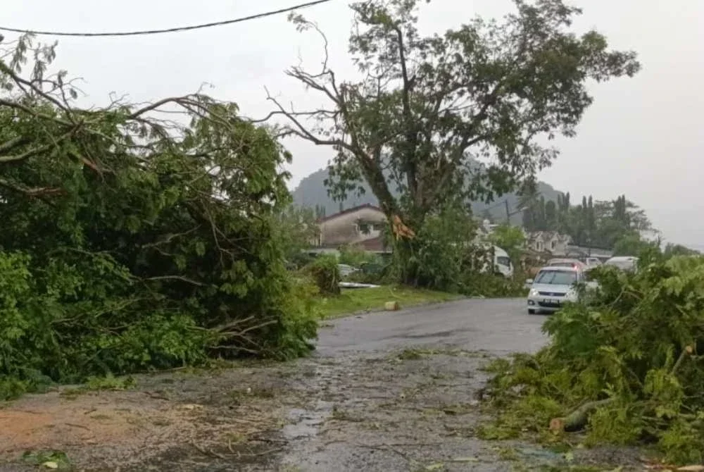Sehingga kini, kerja-kerja pembersihan giat dijalankan termasuk mengalihkan pokok tumbang di kawasan terjejas. Foto APM