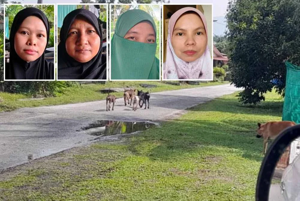 Anjing-anjing jalanan berkeliaran di kawasan kampung menyebabkan ketakutan dalam kalangan penduduk. - Gambar kecil dari kiri Nor Faizatul Nadia, Norazrin, Tuan Azizam dan Nor Faizah 