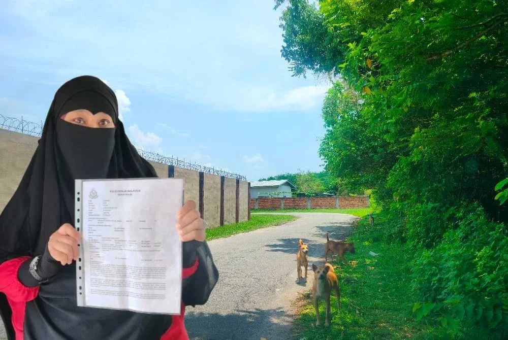 Azizah menunjukkan laporan polis yang dibuat menyatakan kebimbangan terhadap gangguan anjing jalanan di Kampung Cik Zainal, Chemor di sini.