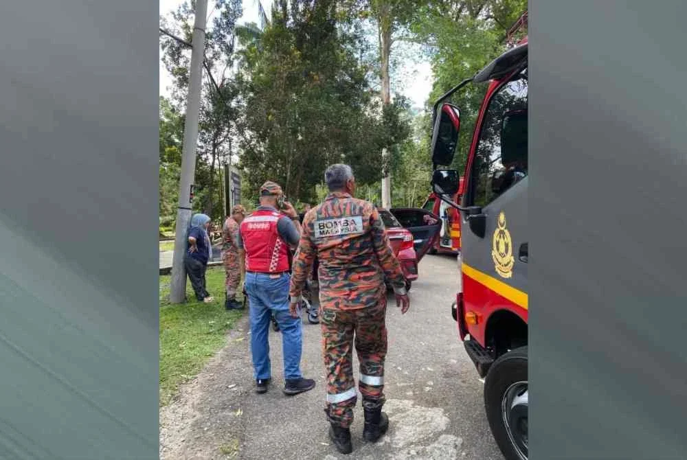 Operasi pencarian dijalankan di kawasan resort terbabit serta sekitar Taman Botanikal dengan bantuan polis dan Perbadanan Pengurusan Sisa Pepejal dan Pembersihan Awam (SWCorp).
