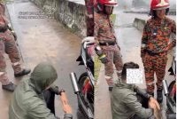 Video memaparkan lelaki berkenaan berada di tepi lebuh raya dalam keadaan menggigil dan dipujuk bomba tular di media sosial.