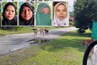 Anjing-anjing jalanan berkeliaran di kawasan kampung menyebabkan ketakutan dalam kalangan penduduk. - Gambar kecil dari kiri Nor Faizatul Nadia, Norazrin, Tuan Azizam dan Nor Faizah 